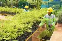 Penjualan Semen SIG Tembus 18,28 Juta Ton, Laba Meroket 471% di Semester I 2026