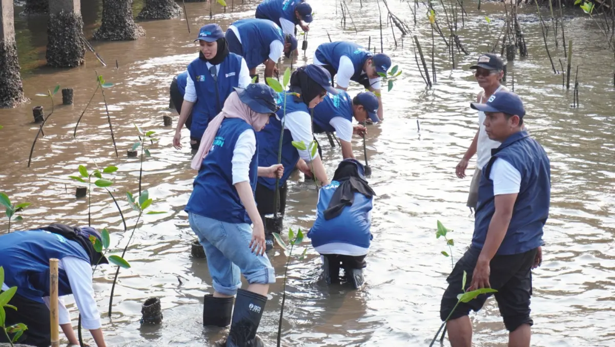 Tanam 5.000 Mangrove, SIG Dorong Pelestarian Ekosistem Pesisir Pantai Bahak