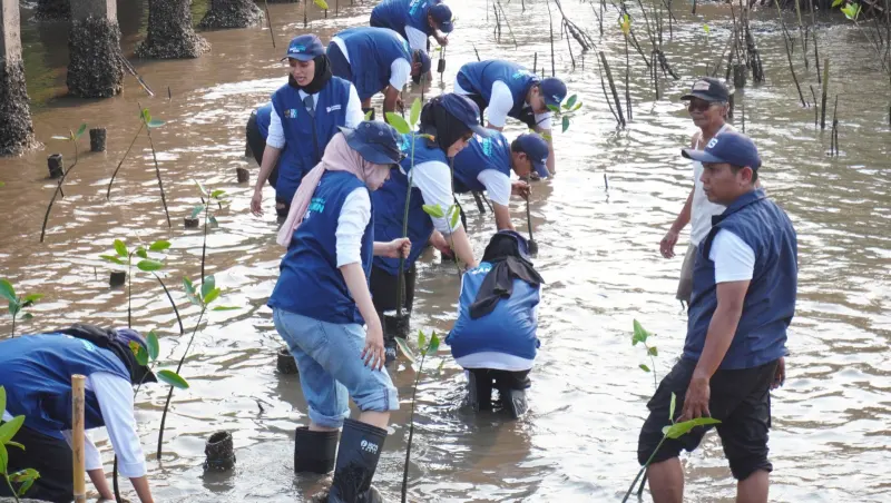 Tanam 5.000 Mangrove, SIG Dorong Pelestarian Ekosistem Pesisir Pantai Bahak