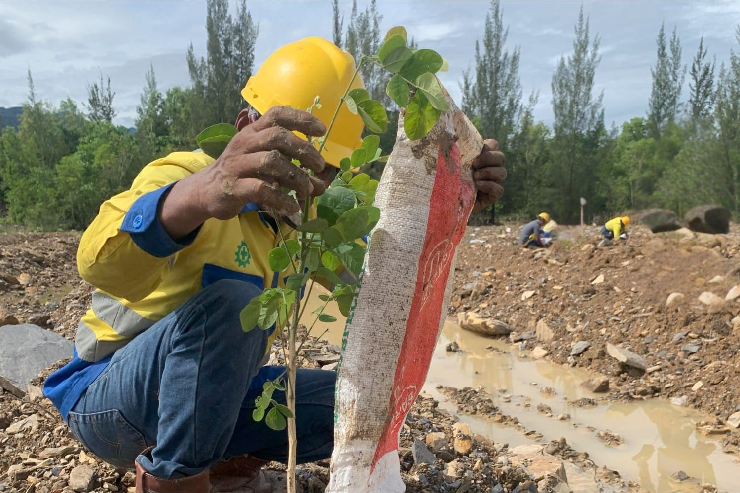 SIG Lakukan Reklamasi Lahan Pascatambang Guna Lindungi Keanekaragaman Hayati