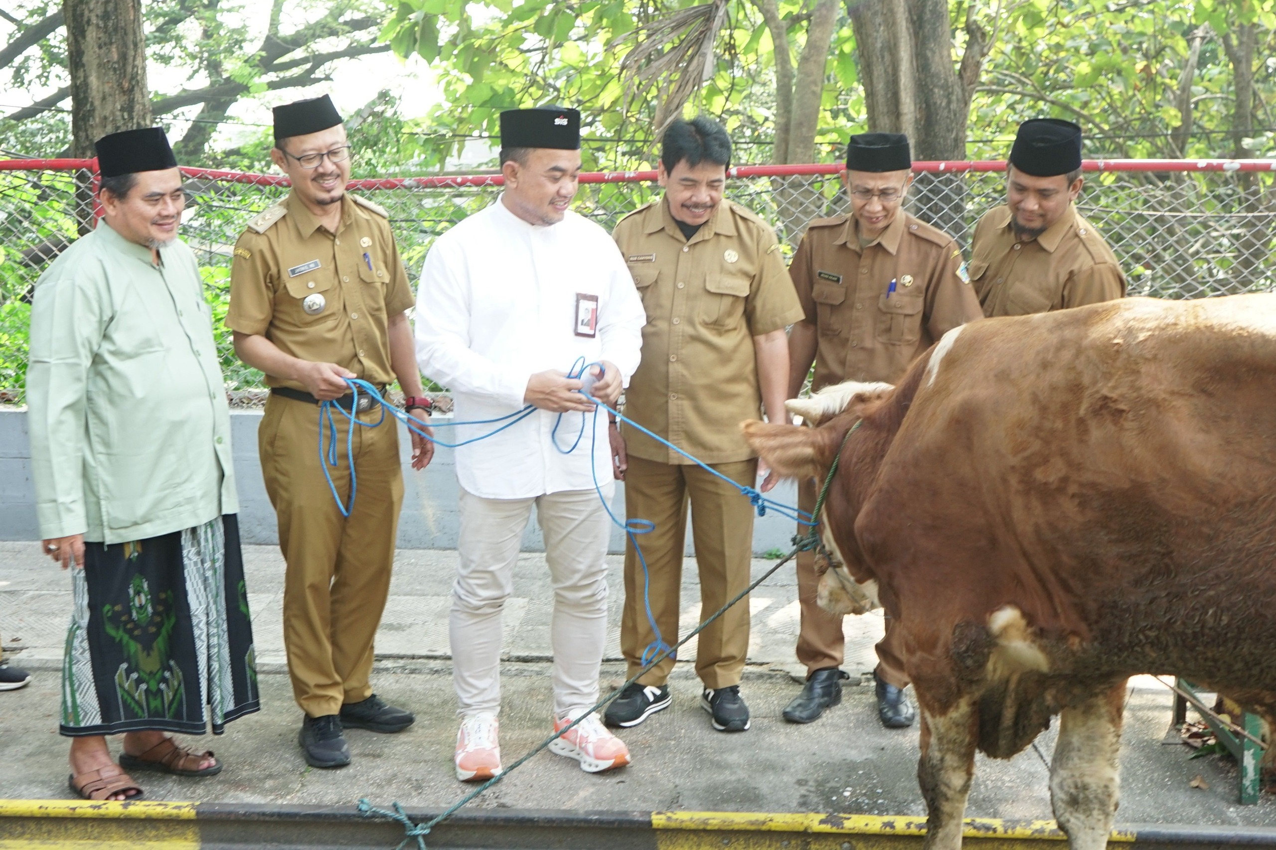 SIG Salurkan 292 Hewan Kurban ke Masyarakat di 19 Provinsi