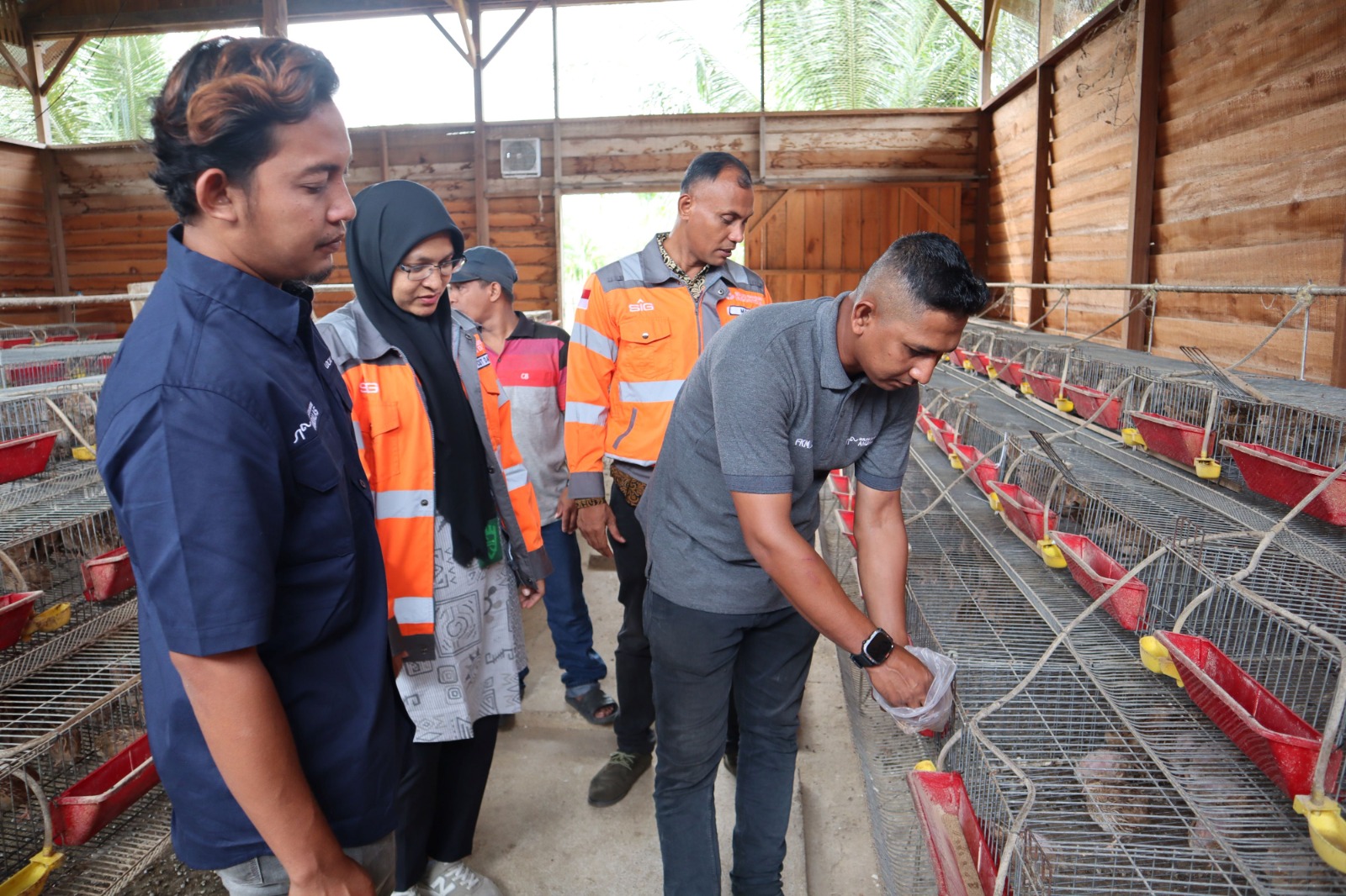 SIG Sulap Sampah Kelapa Pantai Lampuuk Jadi Pakan Ternak dan Sumber Ekonomi Warga