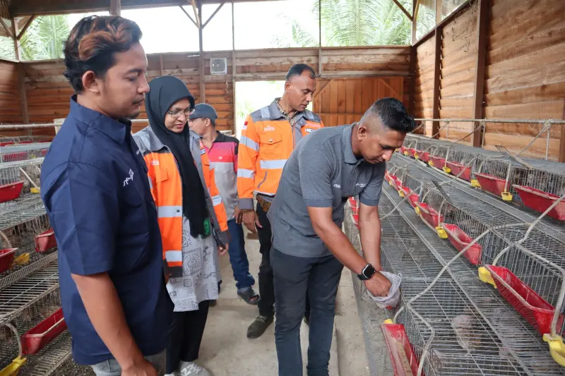 SIG Sulap Sampah Kelapa Pantai Lampuuk Jadi Pakan Ternak dan Sumber Ekonomi Warga